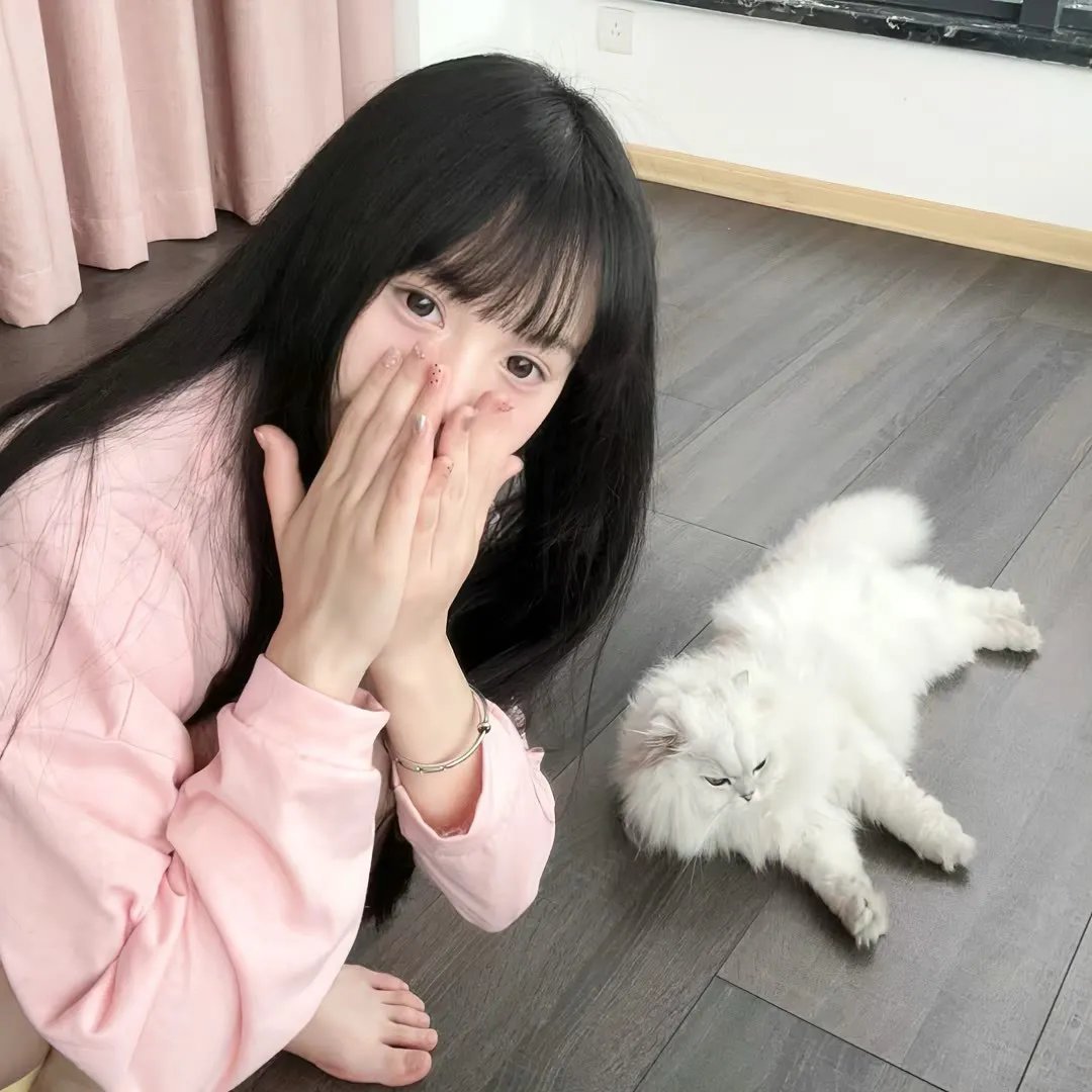 维拉潘：印度头号通缉犯